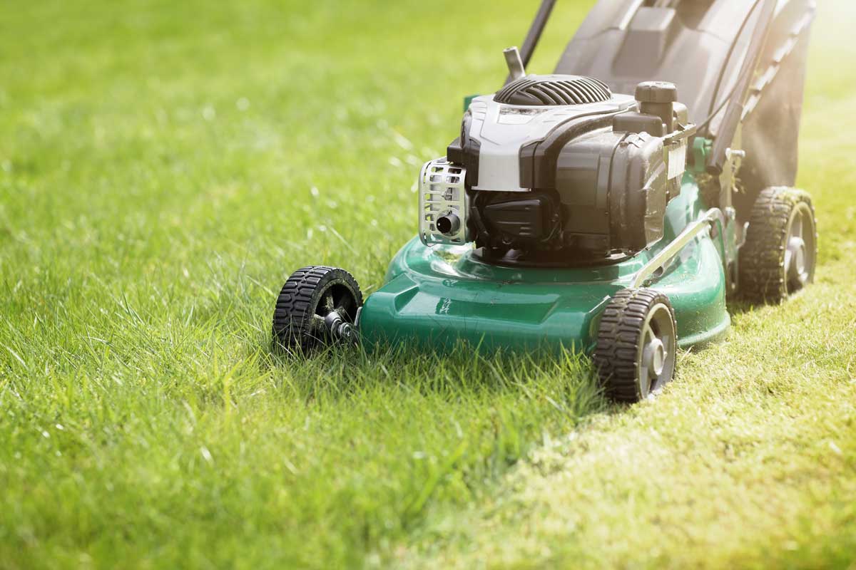 mowing the grass