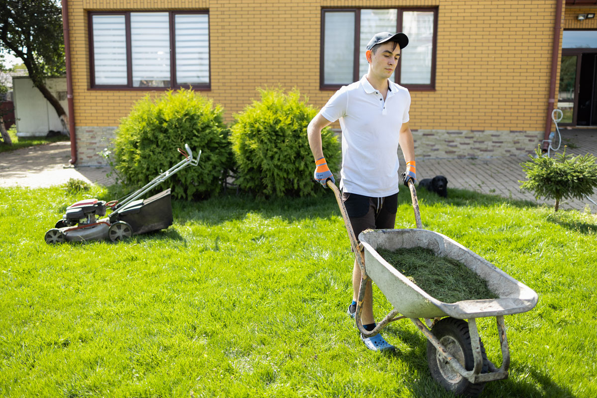 male teen pushes a wheelbarrow on a landscaping job